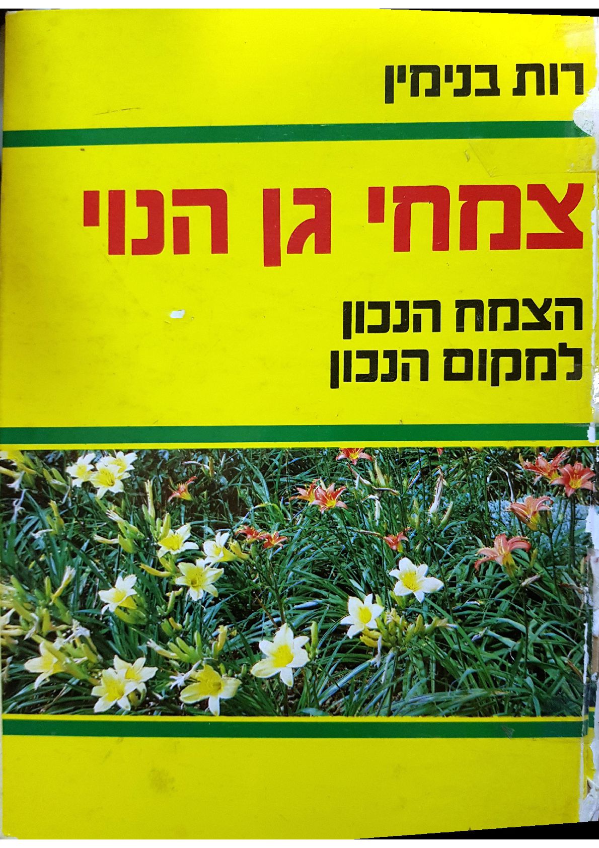 הצמח הנכון במקום הנכון