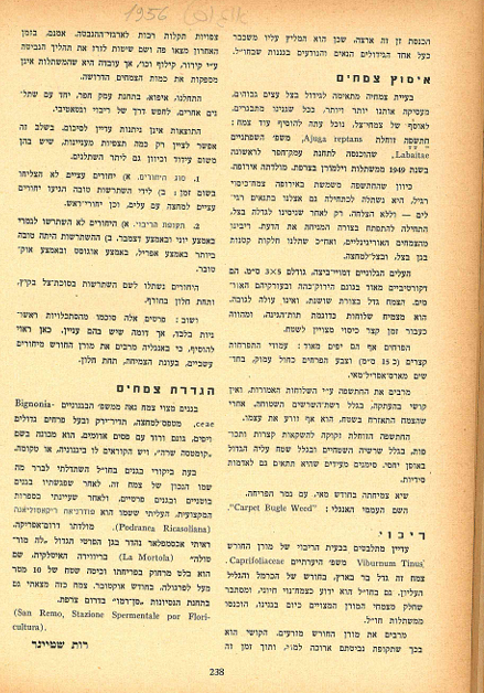 אוגוסט_1956.png